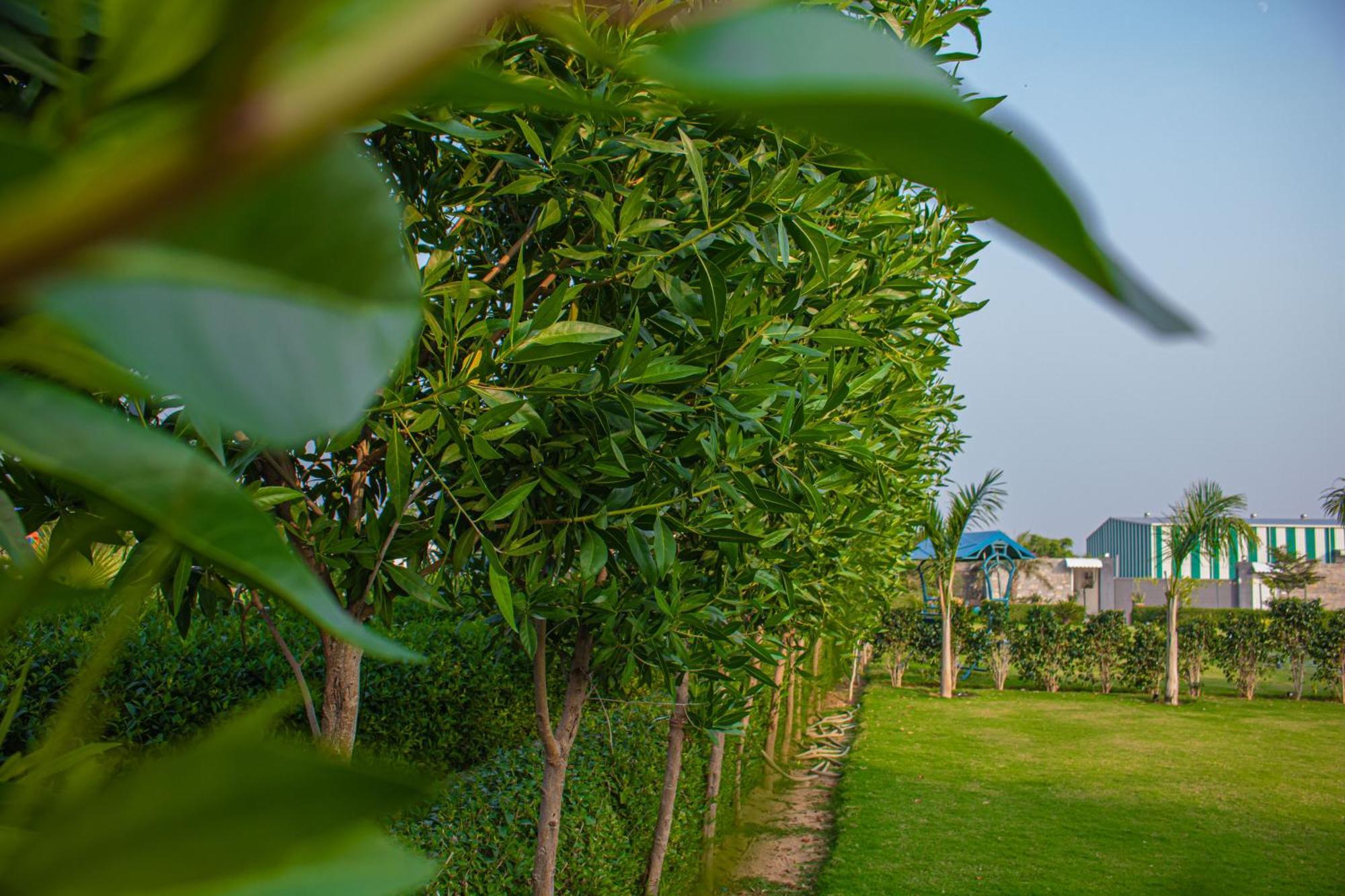 The Peace- A Luxury Private Pool Villa Divisione di Divisione di Jaipur Esterno foto
