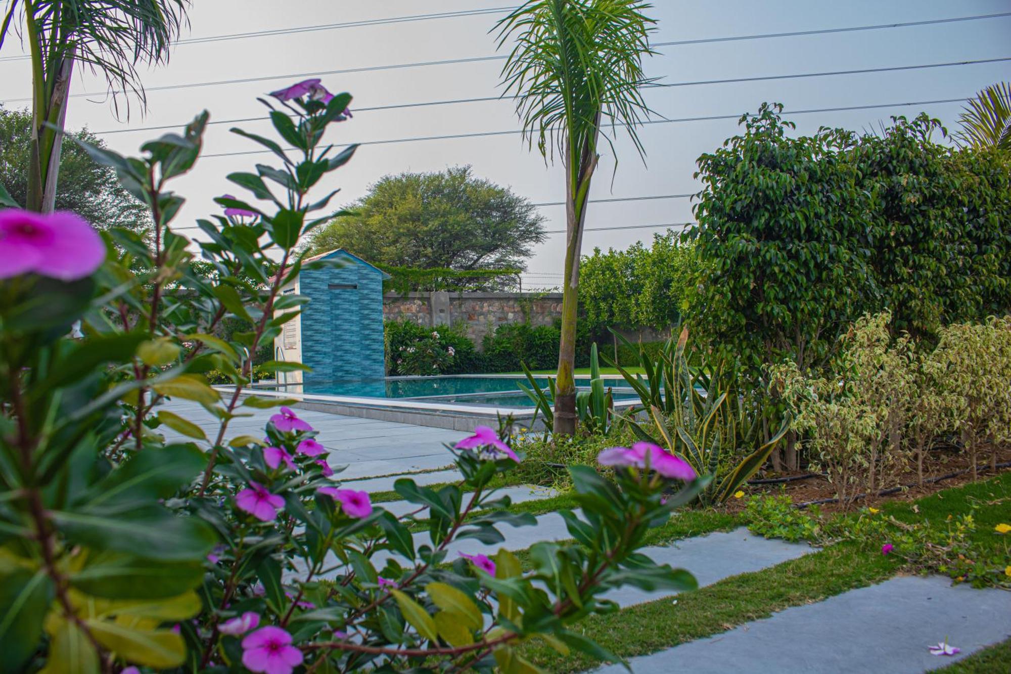 The Peace- A Luxury Private Pool Villa Divisione di Divisione di Jaipur Esterno foto